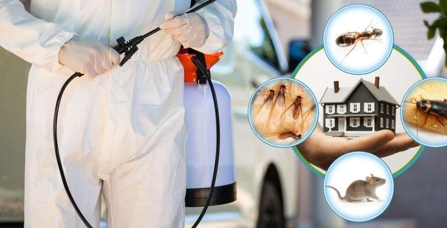 Ortaca Böcek İlaçlama