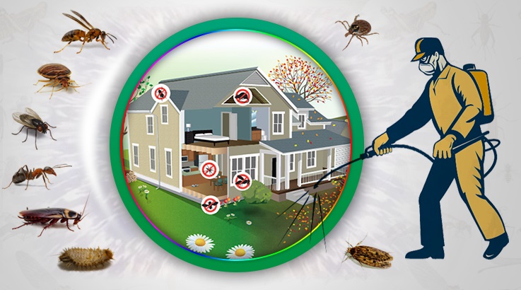 Ortaca Böcek İlaçlama