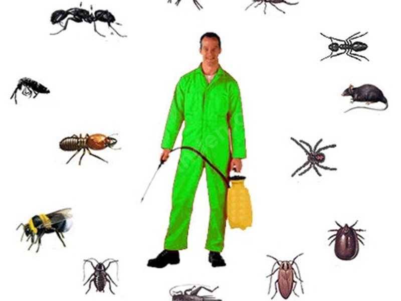 Ortaca Böcek İlaçlama